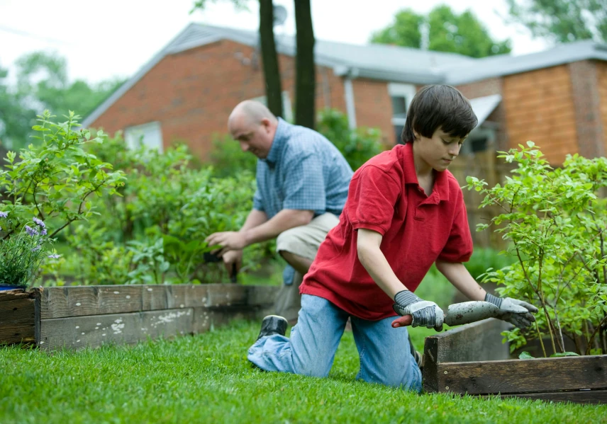 Father and son planting seasonal produce.