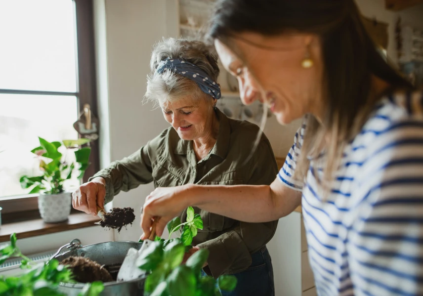 mother and daughter - cycle of life