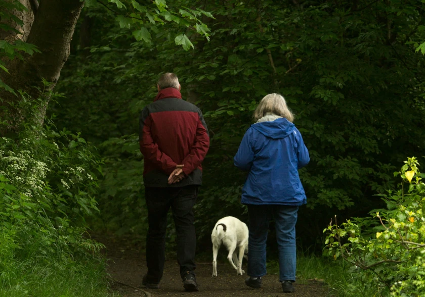 walking - goal setting